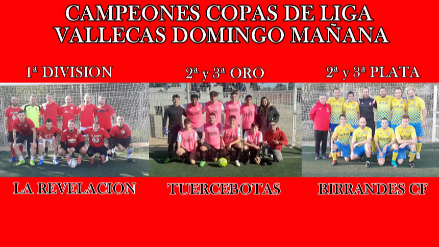 CAMPEONES COPAS DE LIGA VALLECAS DOMINGO MAÑANA